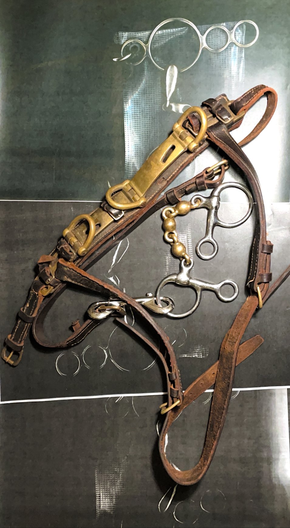 Image of THE UNBRIDLE 1/1