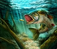Image 1 of Fish On