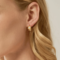 Image 2 of Rosa Mystica