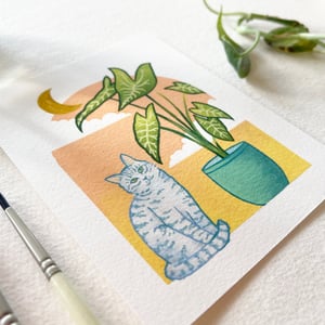 Image of Cats + Plants: Colocasia, individual or set