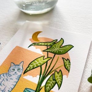 Image of Cats + Plants: Colocasia, individual or set