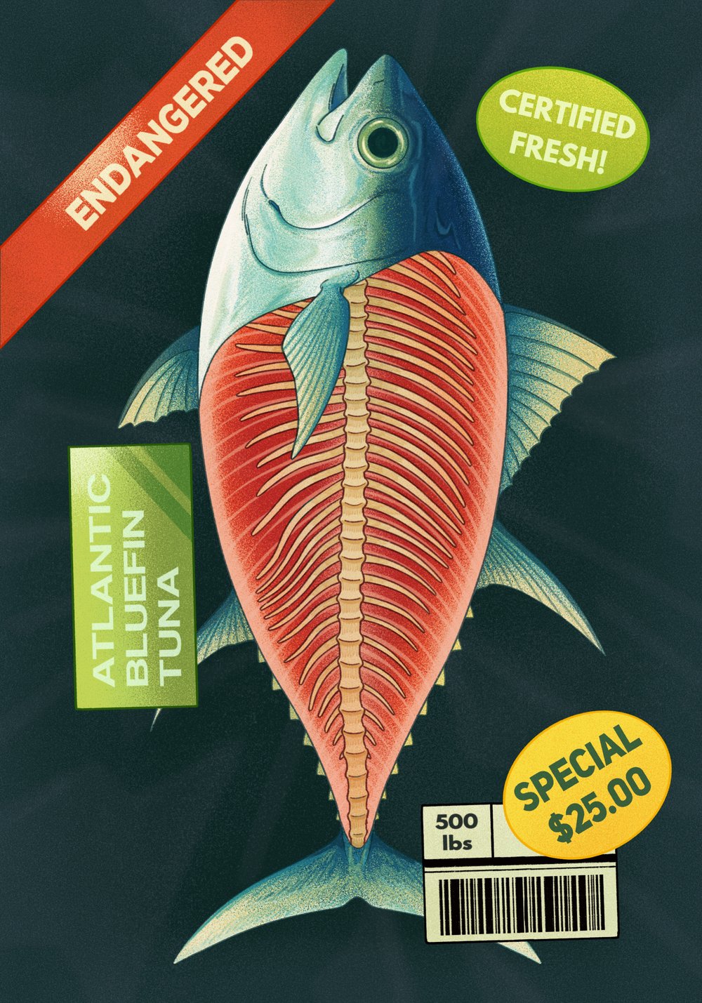 Atlantic Bluefin Tuna Sticker Book