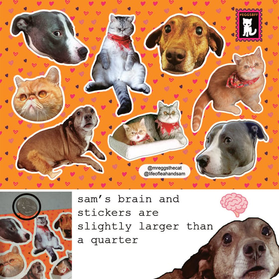 Image of All Our Pets Sticker Sheet