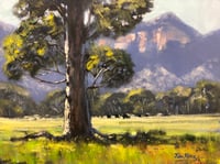 Image 1 of Glen Alice Landscape