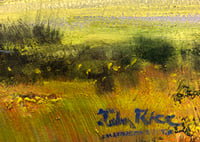 Image 3 of Glen Alice Landscape