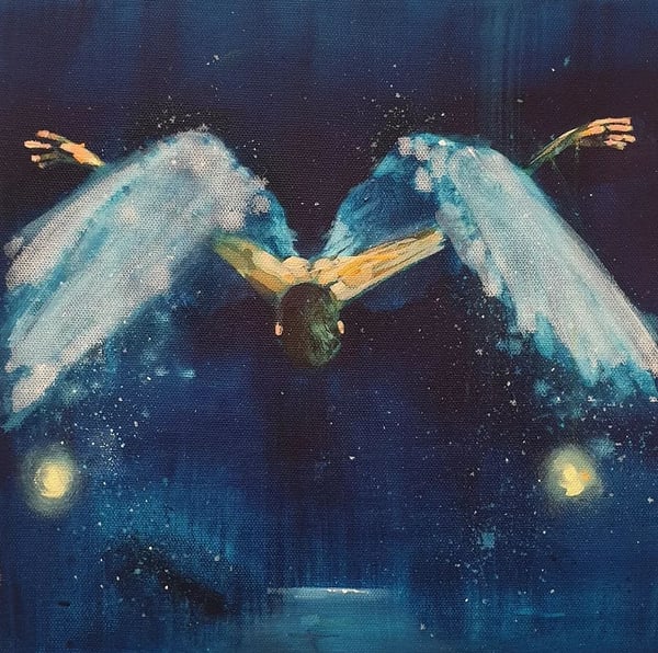 Image of Sometimes You Fly Like The Wind 