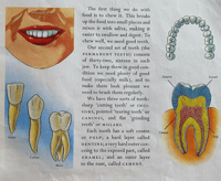 Image 3 of The Human body Picture Puffin book