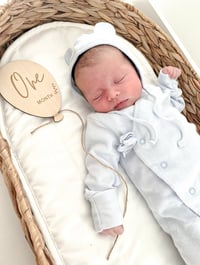 Image 2 of Wooden Balloon Theme Baby Milestone Cards