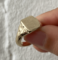 Image 3 of Siggy Soulmates