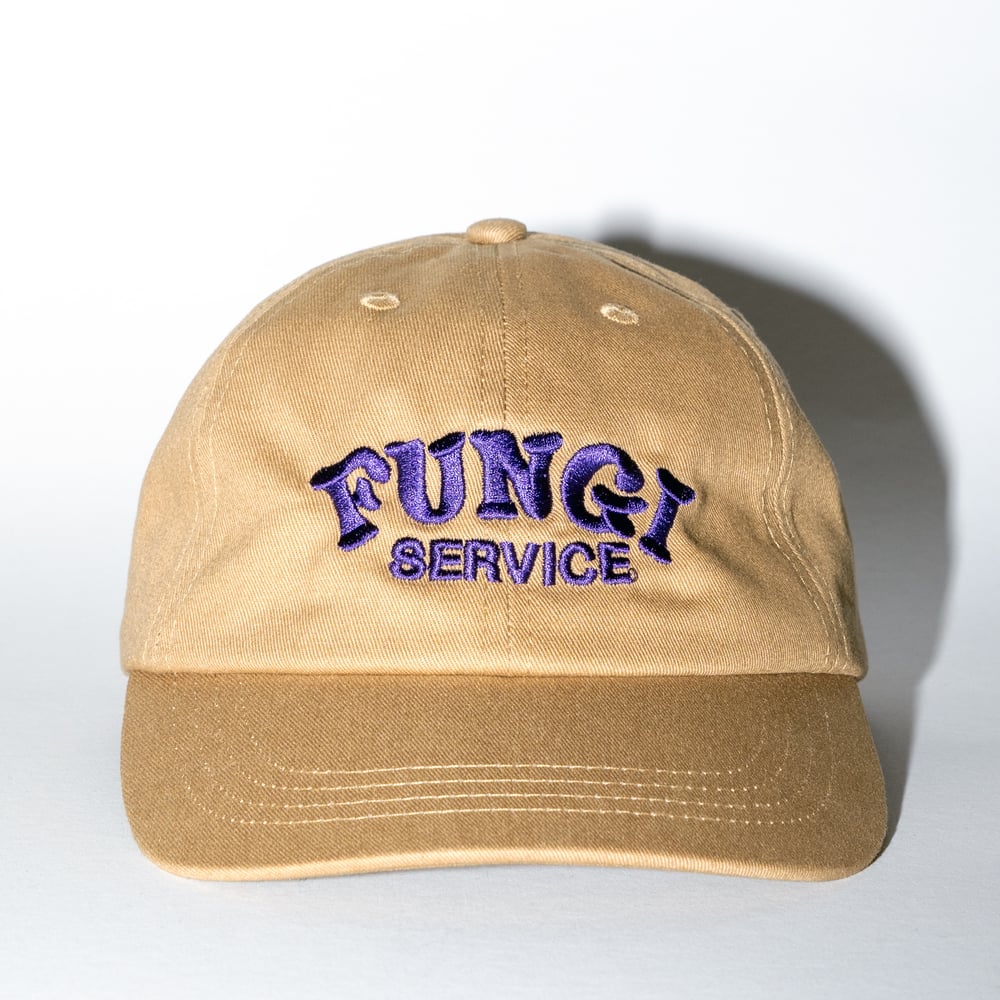 Image of FUNGI - Cap