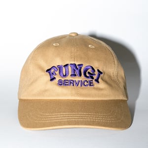 Image of FUNGI - Cap