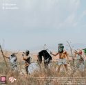 BYT Band - ANML002