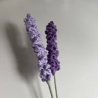 Image 1 of Lavender