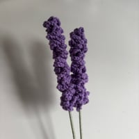 Image 2 of Lavender