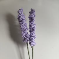 Image 3 of Lavender