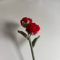 Image 3 of Mini Rose