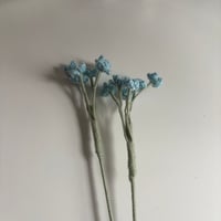 Image 4 of Baby Breath