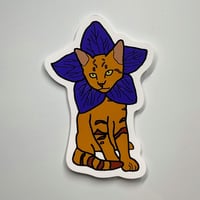 Image 1 of Blue Flower Cat 