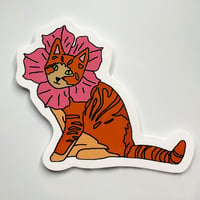 Image 1 of Ginger Flower Cat 