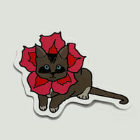 Image 1 of Red Flower Cat