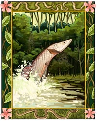 Arapaima