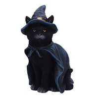Image 1 of Bewitching Witch Cat Figurine 