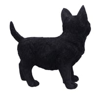 Image 4 of    Charmed Companion 