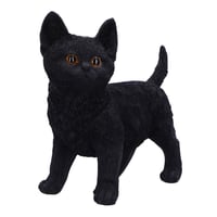 Image 5 of    Charmed Companion 