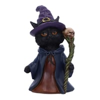 Image 1 of Whiskered Wizard 