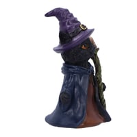 Image 5 of Whiskered Wizard 