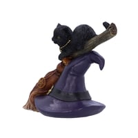 Image 2 of Bewitched 13.3cm