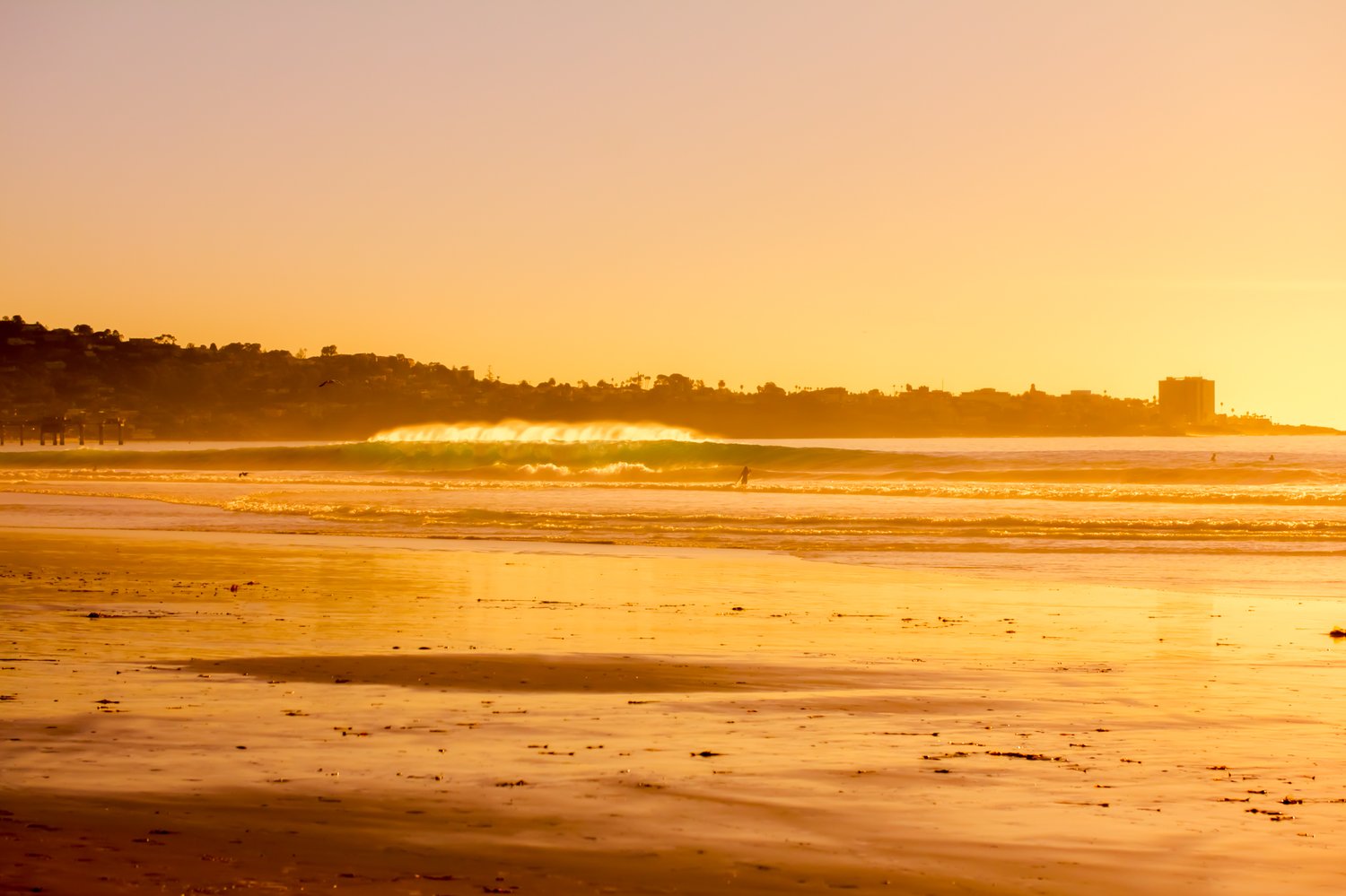 Image of Black's Dream | San Diego, California