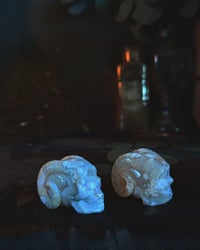 Image 1 of Demon skulls