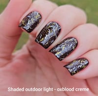 Image 8 of Tinsel Toes