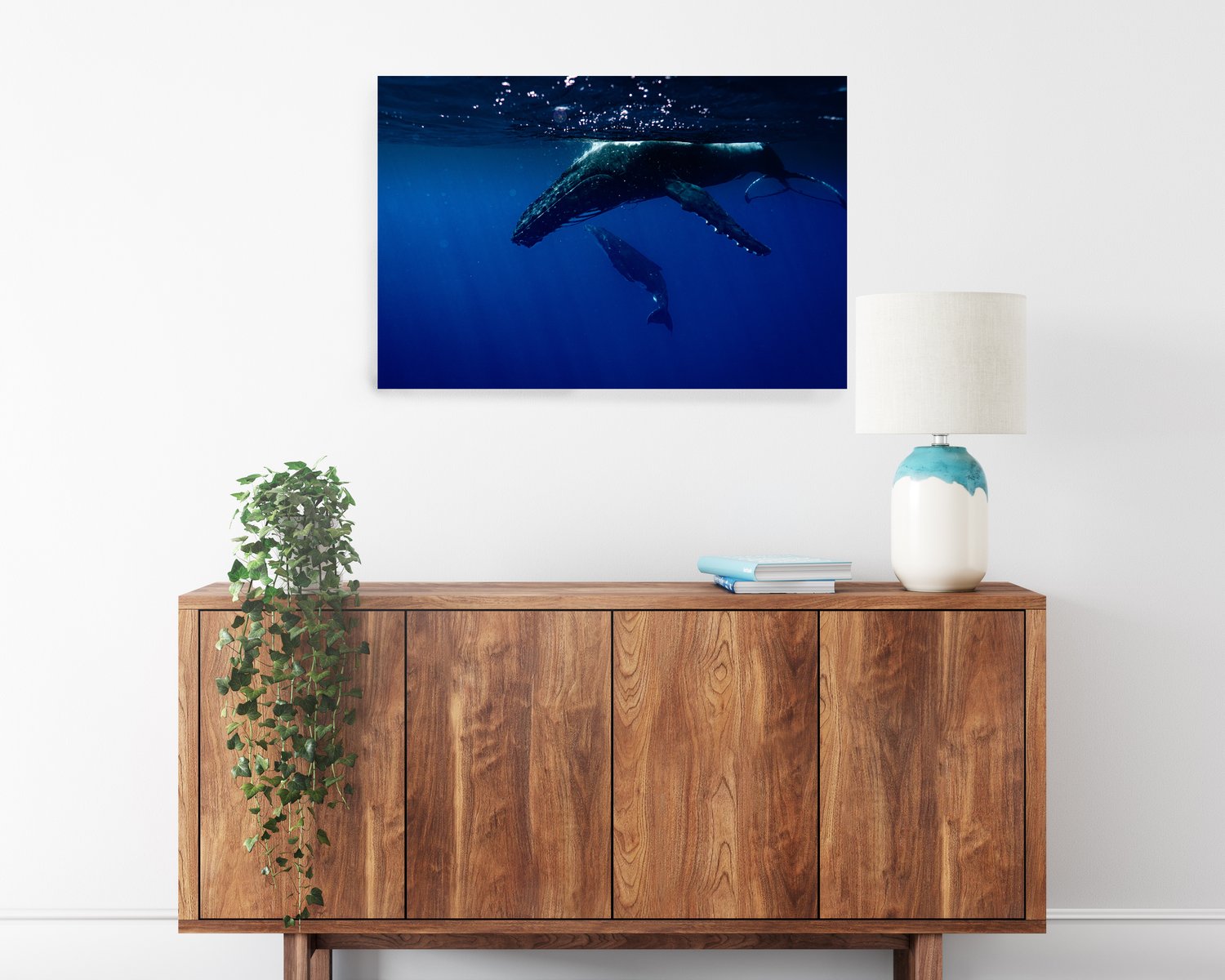 Image of Humpback Swim | Mo'orea, French Polynesia.