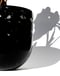 Image of Black Hills Planter