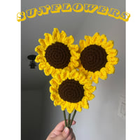 Image 1 of Sunflowers