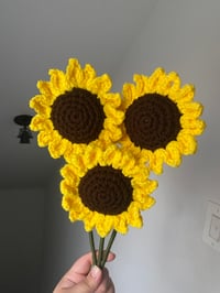 Image 2 of Sunflowers