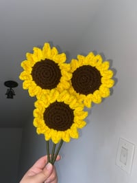 Image 3 of Sunflowers