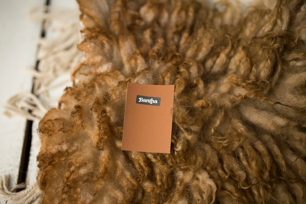 Image of Mustard Wheat hand felted fur