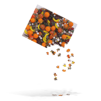 Image 1 of Terp Pearl Puzzle