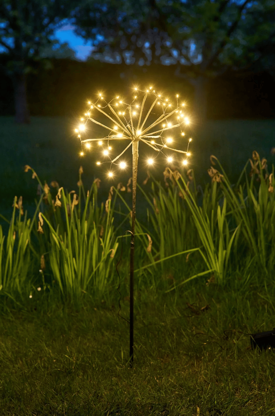 Image of Solar Power Dandelion 
