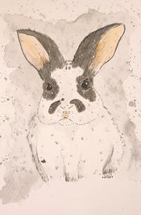 Image 1 of Medium Custom Portrait