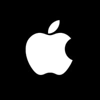 Apple AirPod plug