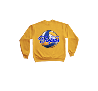 #303 St Joachim VBall 4 Fall 2024 - Gold Crewneck