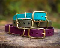 Image 1 of Deluxe Collar - Brass Hardware