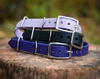 Image 1 of Deluxe Collar - Stainless Hardware