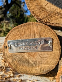 Image 1 of Inoculated Logs