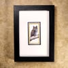 Great Horned Owl - framed original