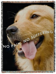 Image of Golden Retriever "No Pain No Suffering" Blanket